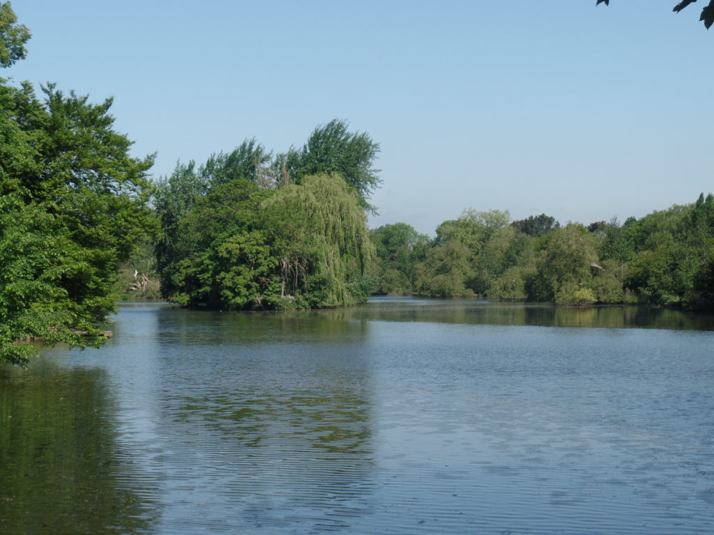 Markeaton Park Lake