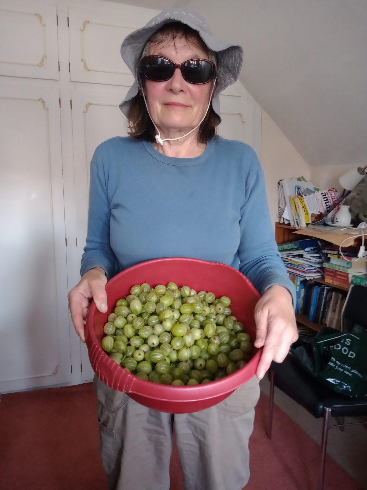 Fruit Harvest