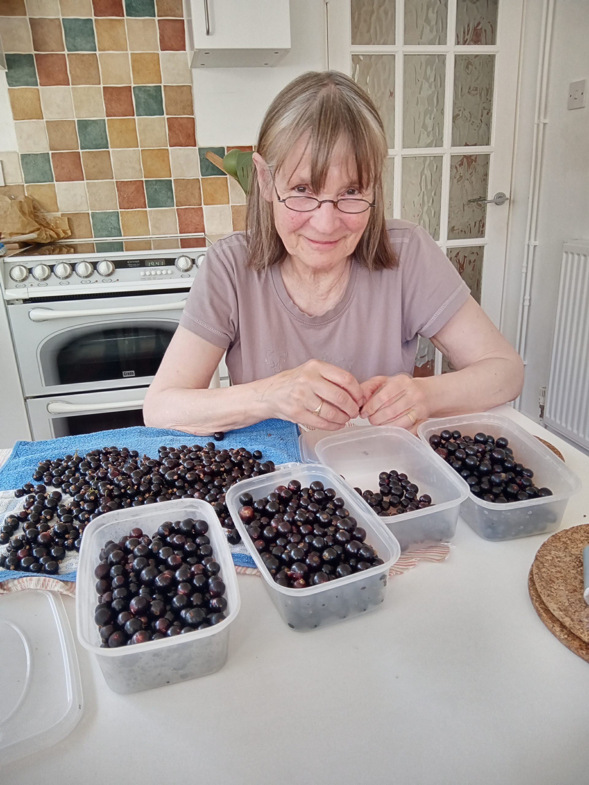 How many Blackcurrants?